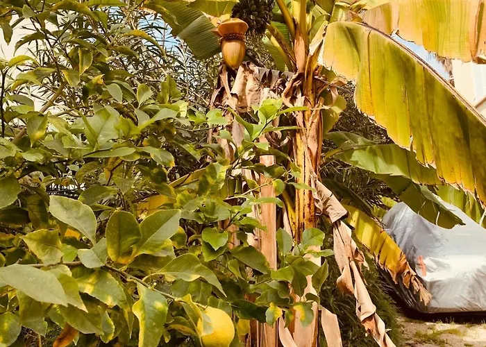 New Renovated Spacious 2 Bedroom Ac 300m From Juan-les-Pins